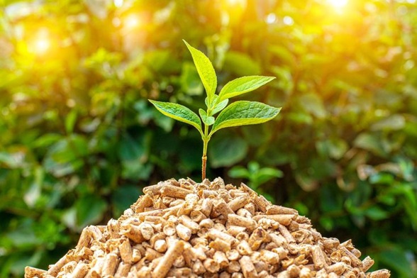 Biomass & Sustainable Products