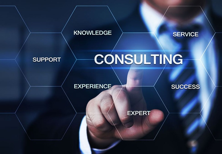 Consultancy & IT Services